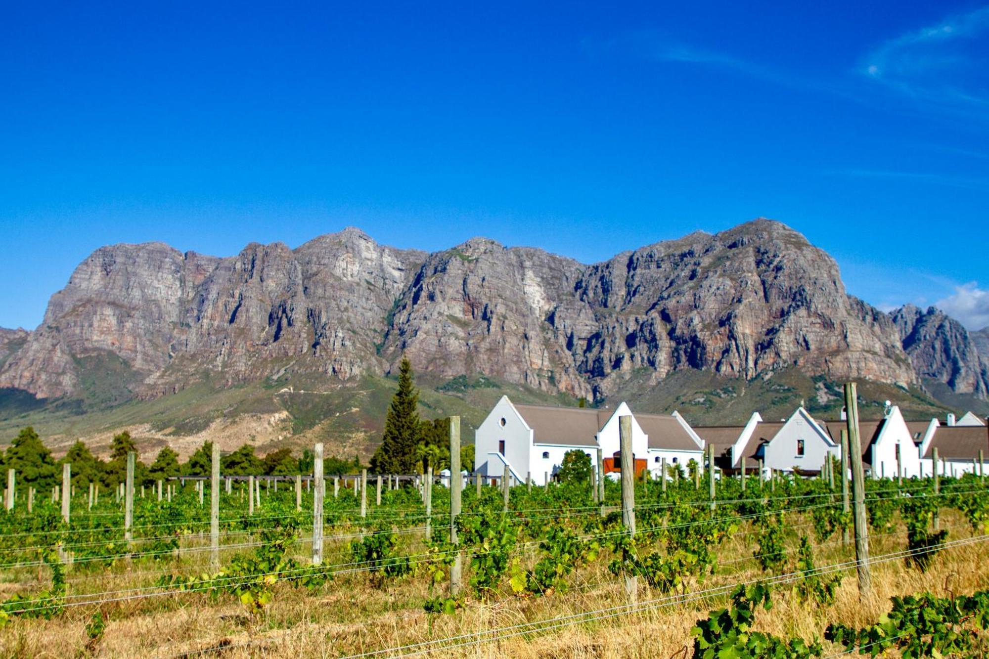 Zorgvliet Wines Country Lodge Stellenbosch Exterior photo