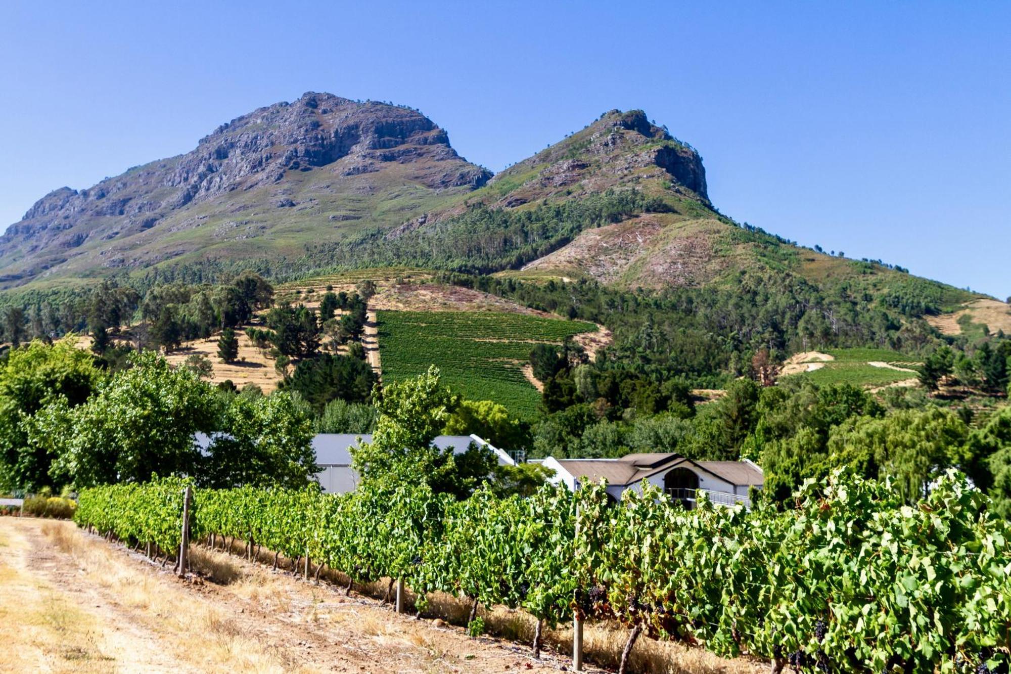 Zorgvliet Wines Country Lodge Stellenbosch Exterior photo